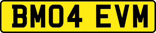 BM04EVM