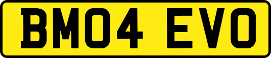 BM04EVO