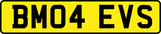BM04EVS