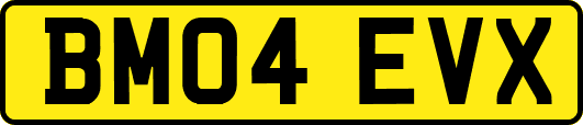 BM04EVX