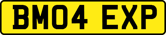 BM04EXP