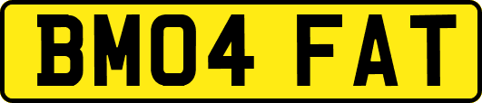 BM04FAT