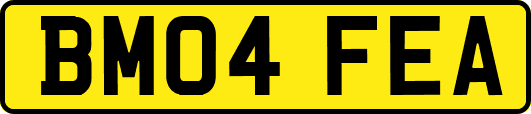 BM04FEA