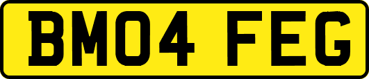 BM04FEG