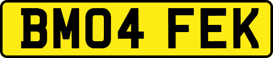 BM04FEK