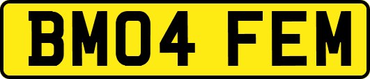 BM04FEM