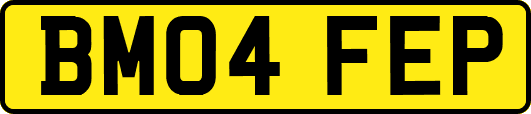 BM04FEP