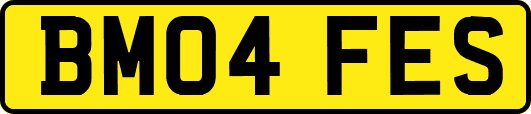 BM04FES