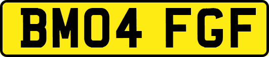 BM04FGF