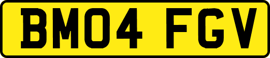 BM04FGV