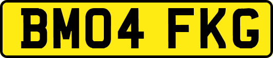 BM04FKG