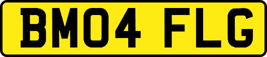 BM04FLG