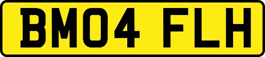 BM04FLH