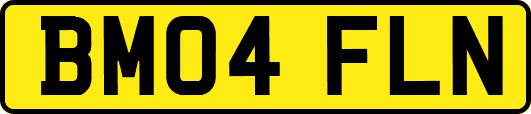 BM04FLN
