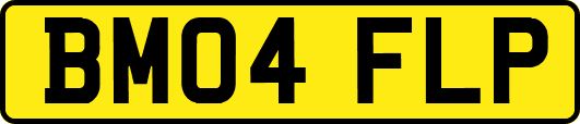 BM04FLP