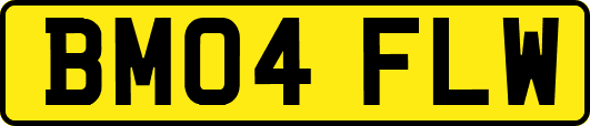 BM04FLW