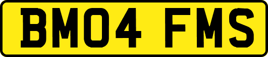 BM04FMS