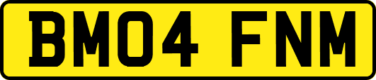 BM04FNM