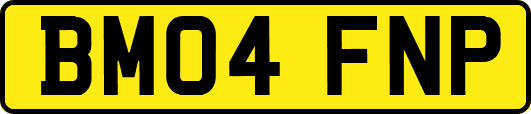 BM04FNP