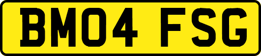 BM04FSG