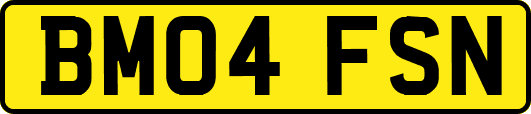 BM04FSN