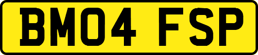BM04FSP