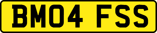 BM04FSS