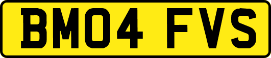 BM04FVS