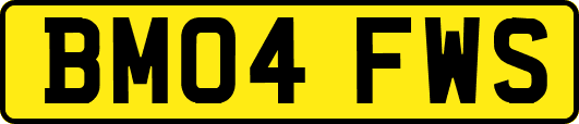 BM04FWS