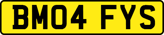 BM04FYS