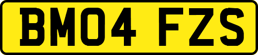 BM04FZS