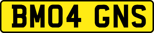 BM04GNS