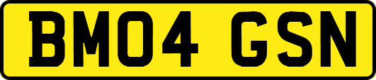 BM04GSN