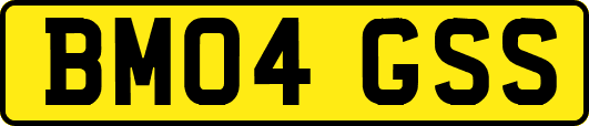 BM04GSS