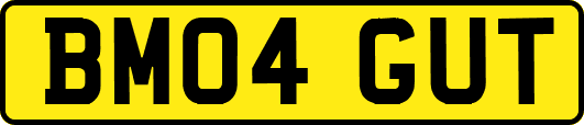 BM04GUT