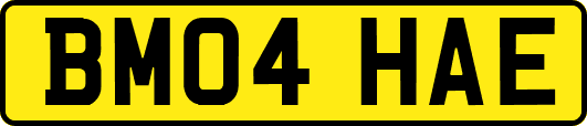 BM04HAE