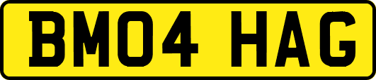 BM04HAG