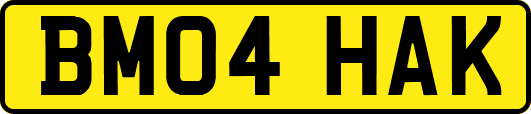 BM04HAK