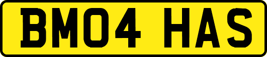 BM04HAS