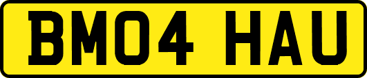 BM04HAU