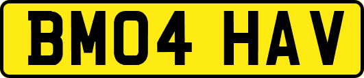 BM04HAV