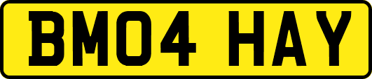 BM04HAY