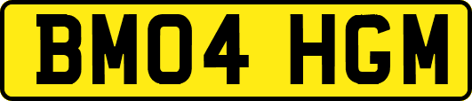 BM04HGM