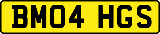 BM04HGS