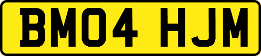 BM04HJM