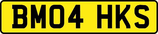 BM04HKS
