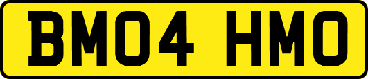 BM04HMO