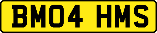 BM04HMS