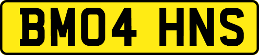 BM04HNS
