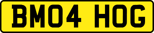BM04HOG